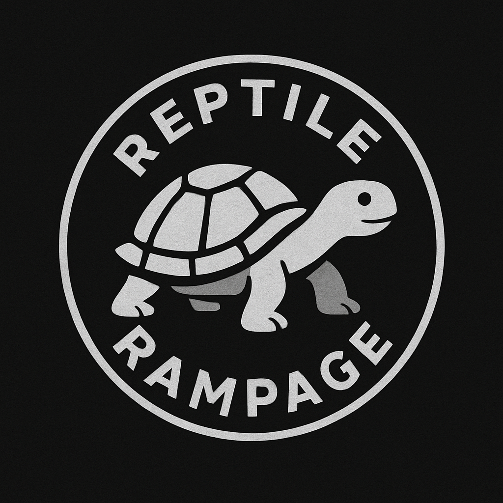 rr-tortise